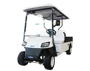 Smart Technology Integration in Custom Utility Golf Carts